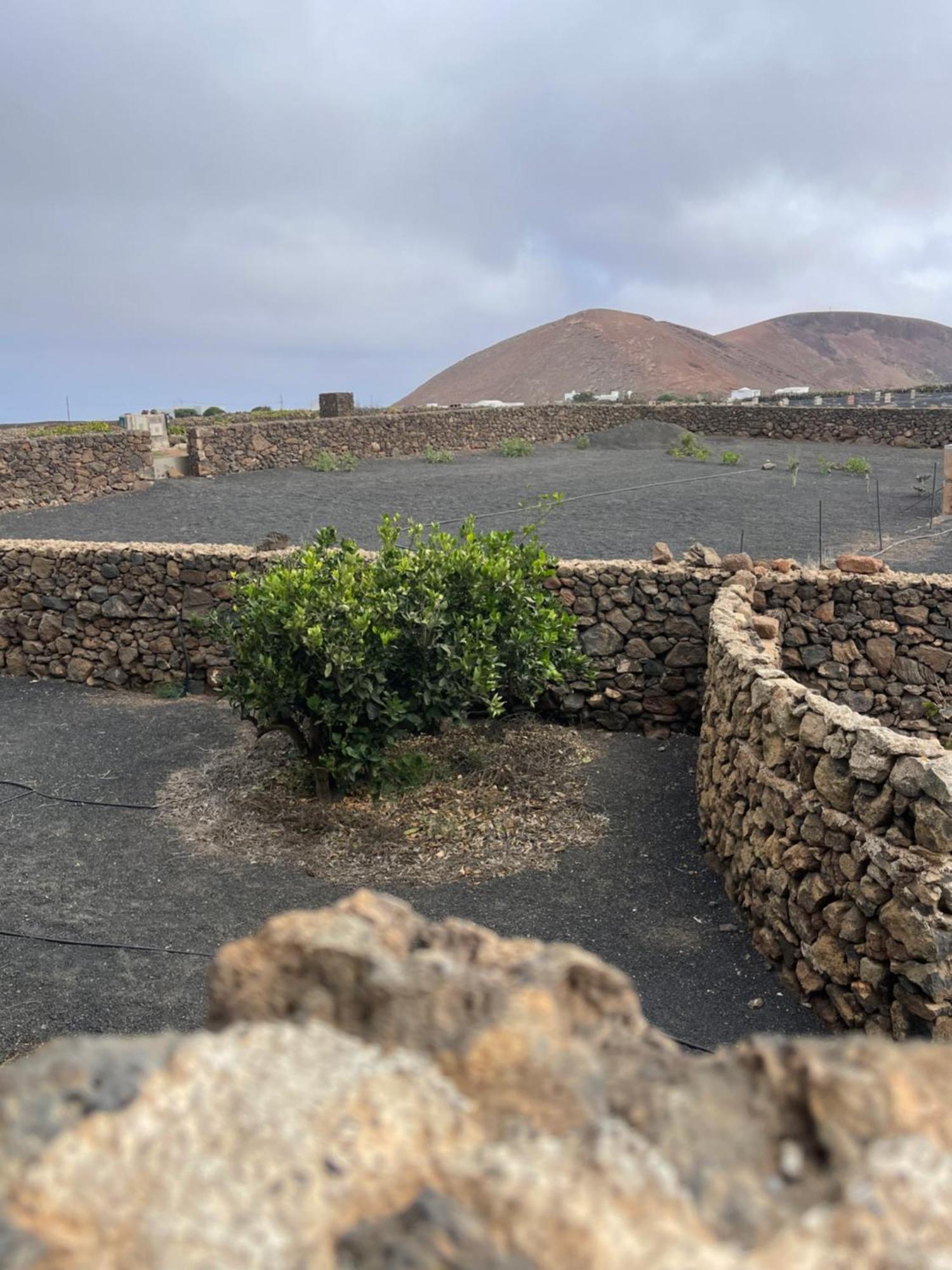 Villa Timanfaya Tinajo Eksteriør billede